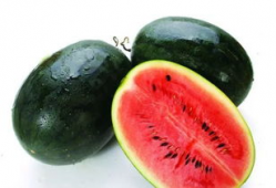 网红吃瓜爆料怎么找到的,探寻幕后线索与技巧